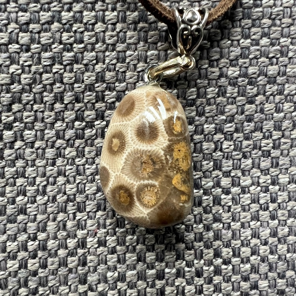 Elegant Fossil Coral Pendant Petosky Stone Necklace